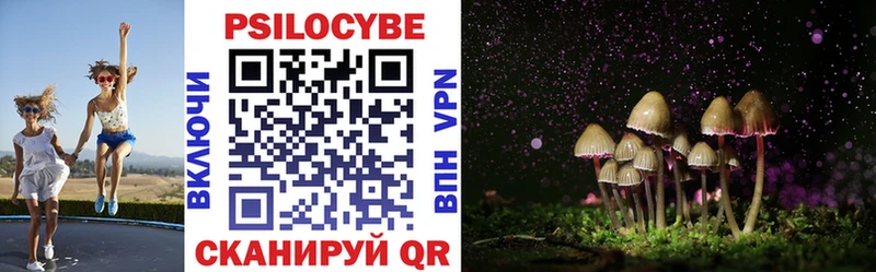 магазин продажи   Дмитровск  Псилоцибиновые грибы Psilocybine cubensis 